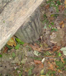 Home Page Image